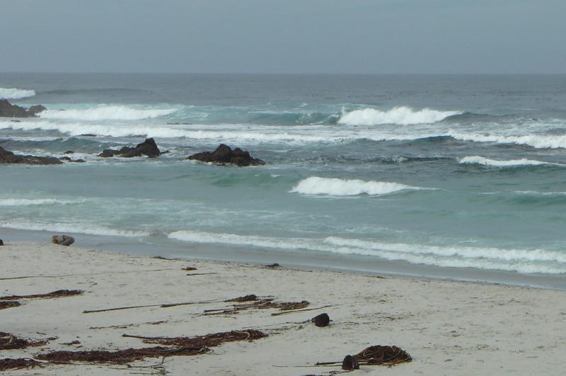 Carmel 10-30-08 247.jpg